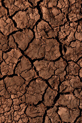 dry cracked earth