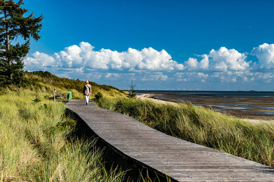 Seedeich Bilder Durchsuchen 79,201 Archivfotos, und