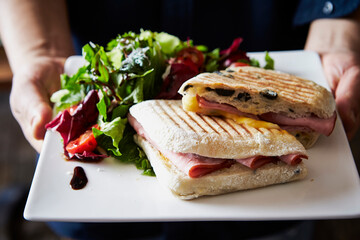 Ham and Cheese Sandwich with Fresh Vegetable Salad 