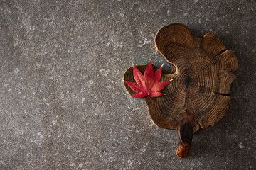 old wood and red leaves 