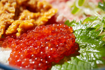 Salmon roe, sea urchin seafood bowl 