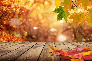 Wooden table with orange leaves autumn and fall background in beautiful nature
