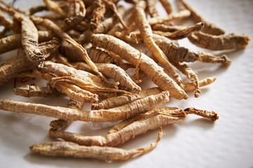 dried balloon flower roots,medicinal herbs 