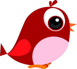 red bird illustration vector  cute 