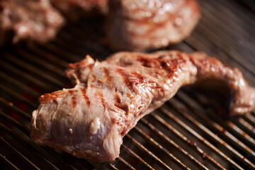 grilled meat on the grill