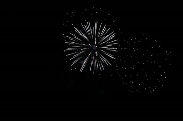 Obraz premium Fireworks against a night sky. Burst of fireworks in the night sky