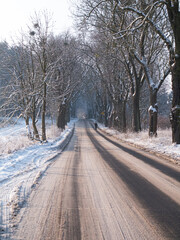 Bieg w "tunelu drzew" zimą