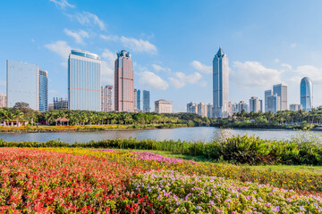 Fototapeta na wymiar Sunny scenery of the flower bushes and the International Trade CBD complex in Haikou Wanlv Park, Hainan, China