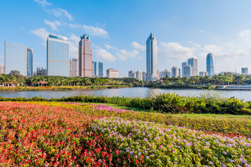 Sunny scenery of the flower bushes and the International Trade CBD complex in Haikou Wanlv Park, Hainan, China
