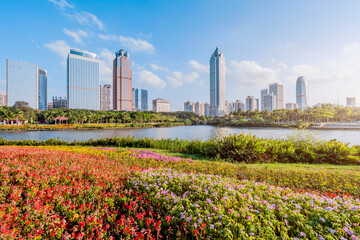Sunny scenery of the flower bushes and the International Trade CBD complex in Haikou Wanlv Park, Hainan, China