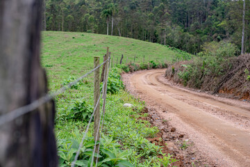 Dirt road, grass and fence. Journey concept