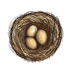 Nest of Dry Grass and Three Brown Chicken Eggs