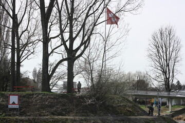 Swiss flag in the park
