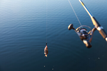 Fishing rod with catch at riverside on sunny day