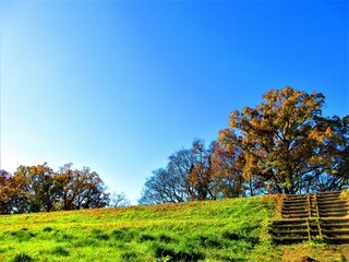 Obraz premium 快晴の秋の青い空