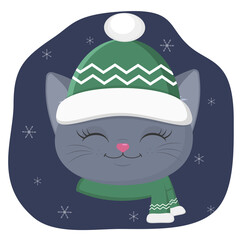 A cute kitten of the British breed is dressed in a hat and a scarf in winter. Against the background of the night sky and snowflakes.