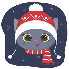A cute kitten of the British breed is dressed in a hat and a scarf in winter. Against the background of the night sky and snowflakes.