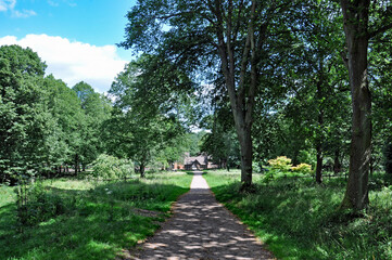 Path in the summertime park