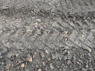 Traces of agricultural machinery on a rural road