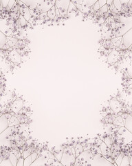 banner with flowers gypsophila on a white background