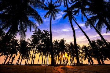 Silhouette of coconut trees and people at Bangsaen beach Chonburi Thailand during sunset, Colorful sky