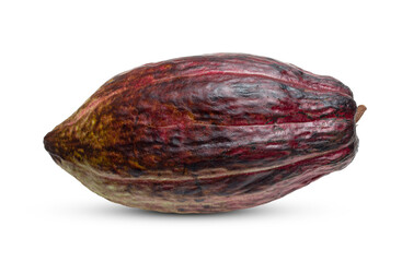 Cocoa pod, fresh cocoa fruit isolated on white background.