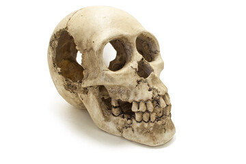 Old jawless Human Skull isolated against white background / Death concept