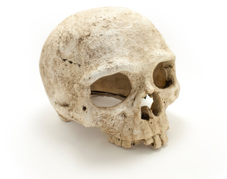 Old jawless Human Skull isolated against white background / Death concept