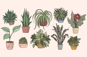 Collection of various indoor plants in pots. Colorful set of different green potted decorative houseplants for home or office. Floral decoration and gardening hobby concept. Flat vector illustration. 