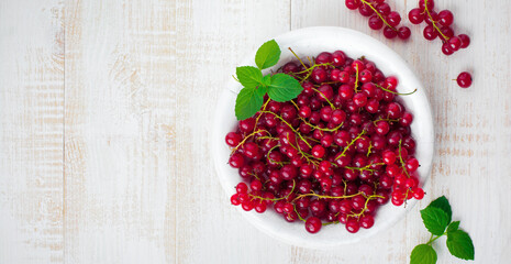 Raw juicy and fresh berries of red currant and mint leaves in white plate. Selective focus. Top view