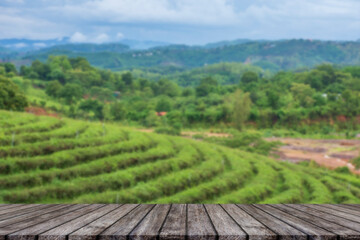 Empty wooden floor with blurred tea plantations Can be used for product display editing.