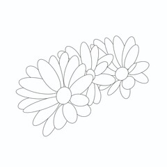 line drawing image of chamomile by line. for use on the poster of the stationery