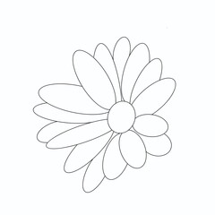 line drawing image of chamomile by line. for use on the poster of the stationery