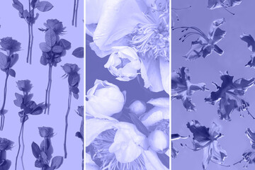 collage of floral patterns to demonstrate violet color of the year