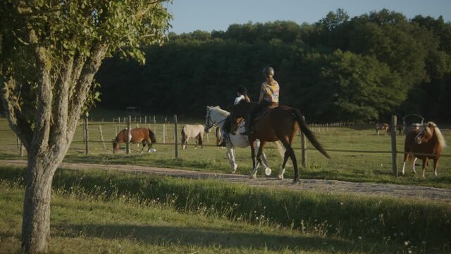 Riding horses at the equestrian center in France countryside.