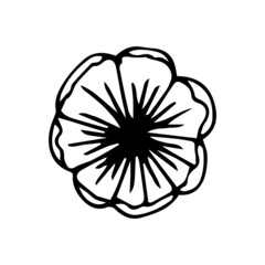 Abstract leaves and flowers doodle set vector illustration