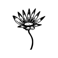 Abstract leaves and flowers doodle set vector illustration