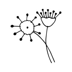 Abstract leaves and flowers doodle set vector illustration