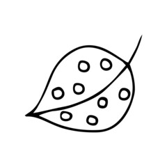 Abstract leaves and flowers doodle set vector illustration