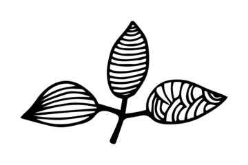 Abstract leaves and flowers doodle set vector illustration