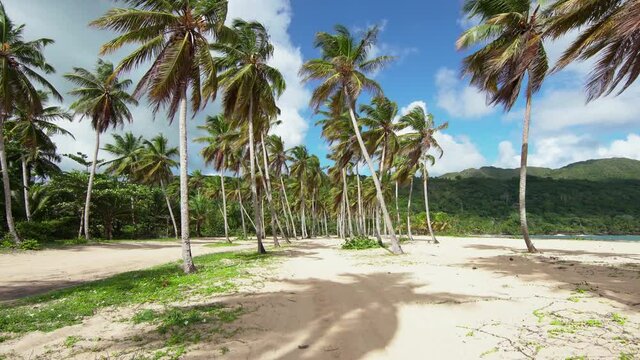 A picturesque coastline with tall, slender coconut palms on a hot afternoon. A snow-white beach on a hilly peninsula with lush greenery. Gray clouds in the blue sky foreshadow rain.