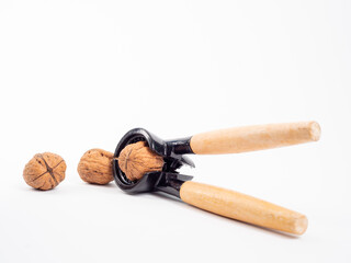 walnut on a white background.