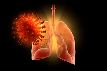 Corona virus and human lungs. 3D illustration