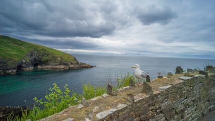 Cornwall coast