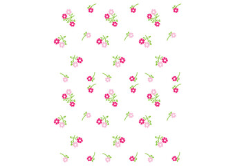 Pink Fuchsia Flower Full Prints 