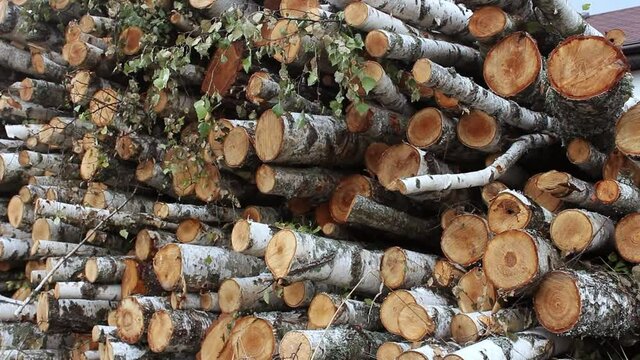 A pile of birch firewood lies on the grass. Chopped firewood stacked in a pile. Pile of logs for fireplace