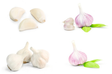 Collage of Garlic on a white background. Clipping path