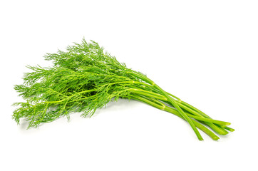 bunch dill herb isolated on white background