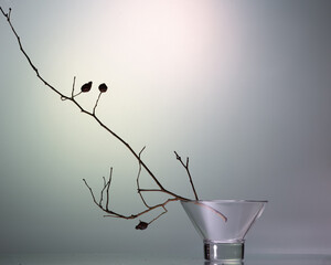 Still life - winter nostalgia with dry branches and rose hips