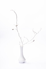 Still life - winter nostalgia with dry branche in a white vase